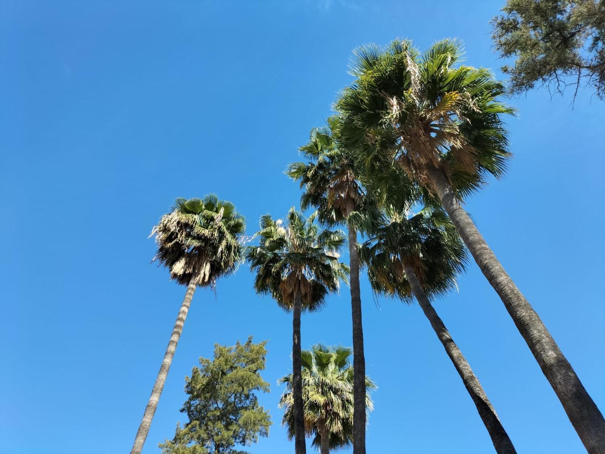 Vas Malaga Ciudad, Malaga